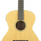 Breedlove USA Concert Sun Light