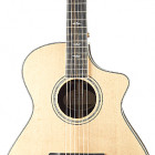 Breedlove 2018 Stage Exotic Concert CE