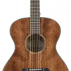 Breedlove 2018 Pursuit Concert E