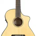 Breedlove Discovery Concert CE