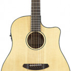 Breedlove Discovery Dreadnought CE