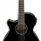 Ibanez AEG10LII