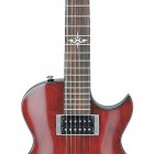 Ibanez ART100