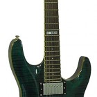 ESP LTD H-250