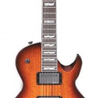 ESP LTD EC-300