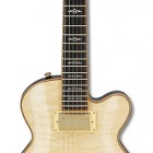 Ibanez ARC500