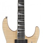 Jackson USA DK1 Dinky