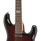 Ruby Burst, Flame Maple