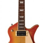 Washburn PS 7000