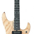 Washburn N 4SA