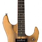 Washburn N 24 Vintage