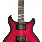 Crimson Burst