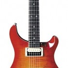 Paul Reed Smith SE Custom