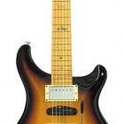 Paul Reed Smith Swamp Ash Special