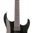 Washburn X 50PRO Deluxe