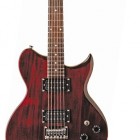 Washburn WI 14