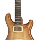 Paul Reed Smith Custom 22 Artist (Special Edition)