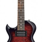 Ibanez GART50QAL