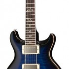 Paul Reed Smith 25th Anniversary Santana