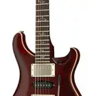 Paul Reed Smith Special