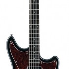 Schecter Hellcat VI