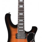 Schecter Stargazer 12