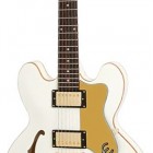 Epiphone Limited Editon Dot Royale