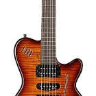 Godin XtSA Flame