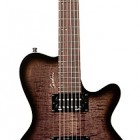 Godin LG Hmb