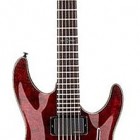 Schecter Damien Special FR