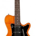 Godin SD22