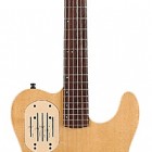 Godin Acousticaster