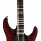 Schecter Damien Special