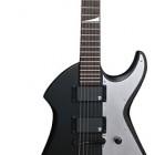 Peavey PXD Void I