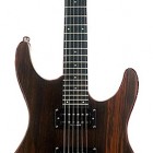 Washburn RX 80