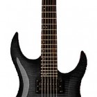 Washburn XM PRO2F