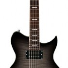 Washburn WI DLX