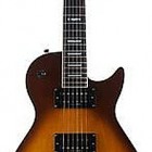 Washburn WMI STD