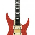 B.C. Rich NJC Bich