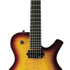 Sunburst Maple