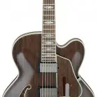 Ibanez AFS85T