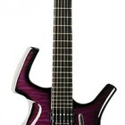 Trans Purple Burst