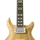 Hamer Duotone Custom