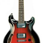 Black Cherry Burst