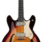 Vintage Sunburst