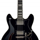 Hagstrom Viking Deluxe Tremar