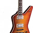 Hamer Standard Custom