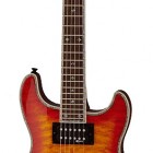 Fernandes Dragonfly Elite