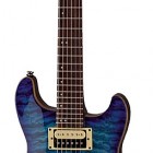 Fernandes Dragonfly Standard