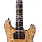 Fernandes Dragonfly Spalted